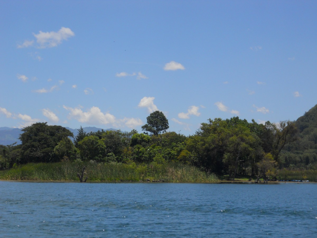 Diagnóstico social (y 2)