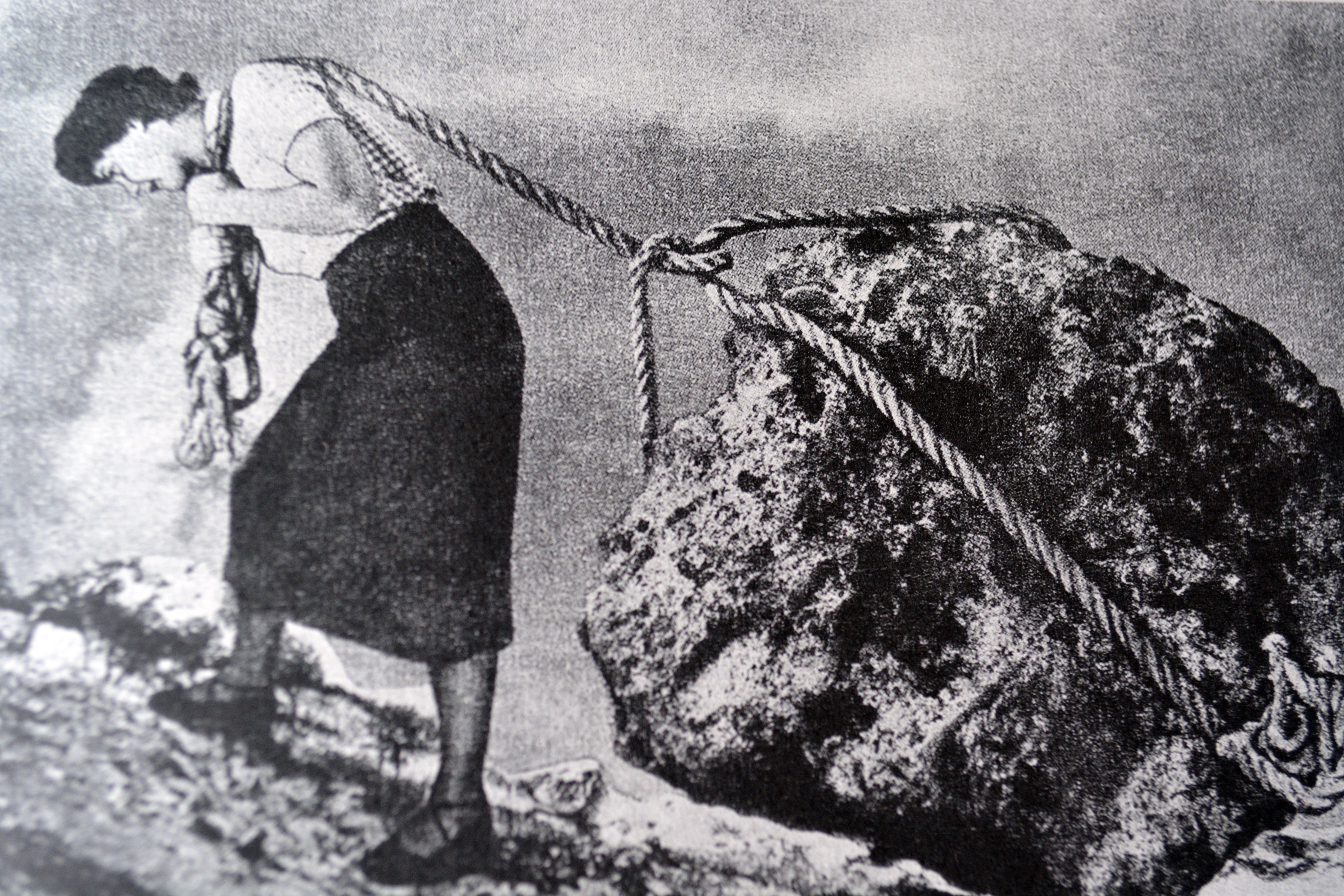 Fatiga: psicosomática (1)