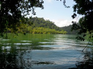 ¿Y un tiempo para pensar?